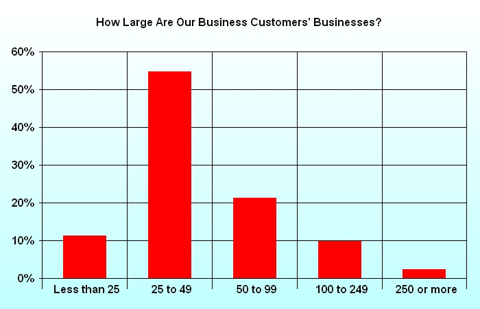 How Large Are Our Business Customers' Businesses?