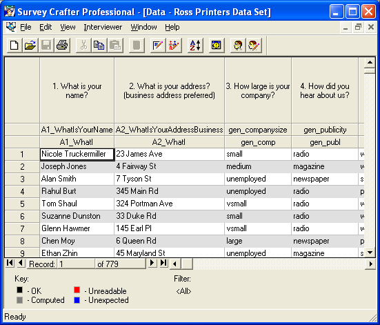 Survey Crafter Professional Data window